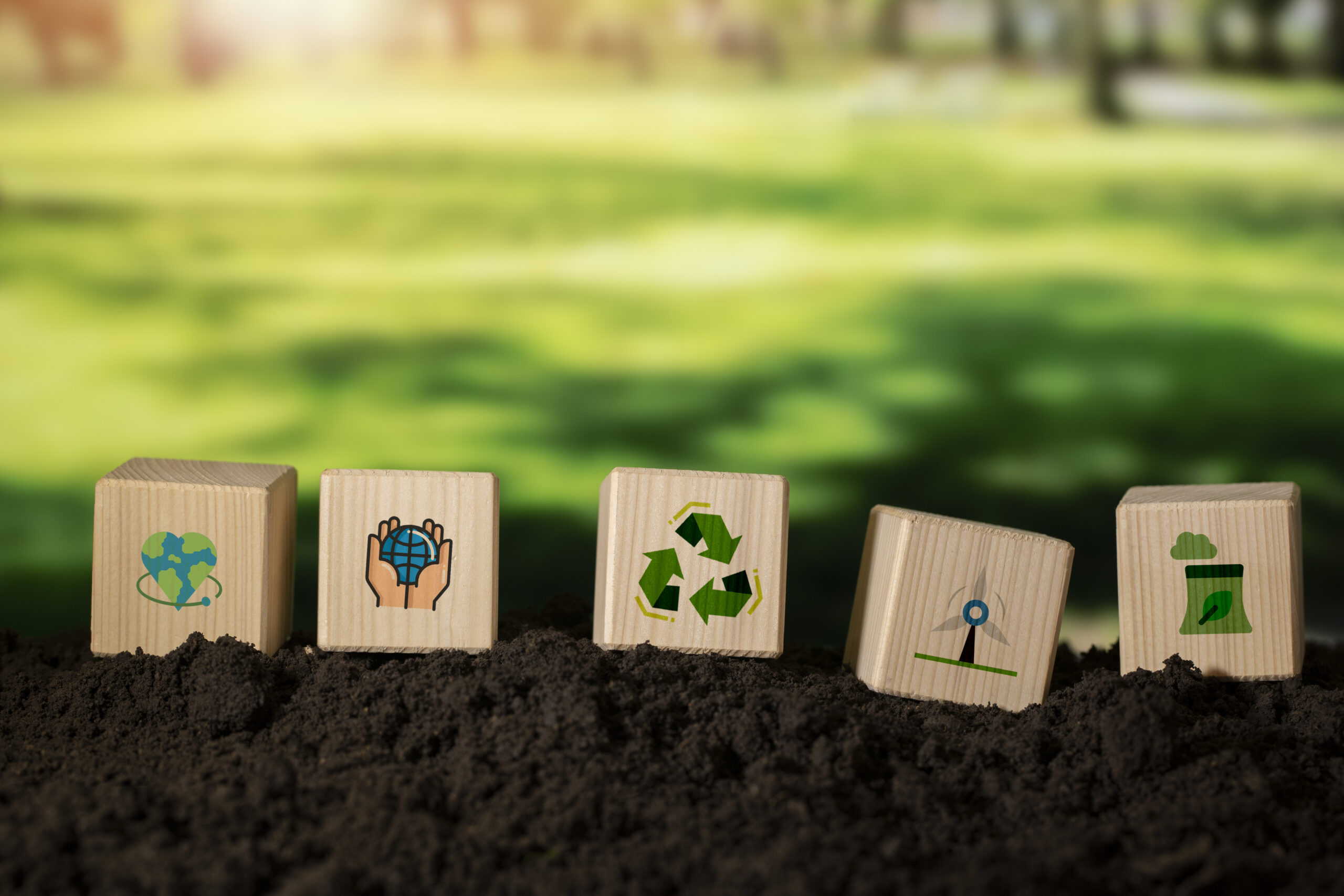 The 5 Stages of Waste Management: A Step-by-Step Guide